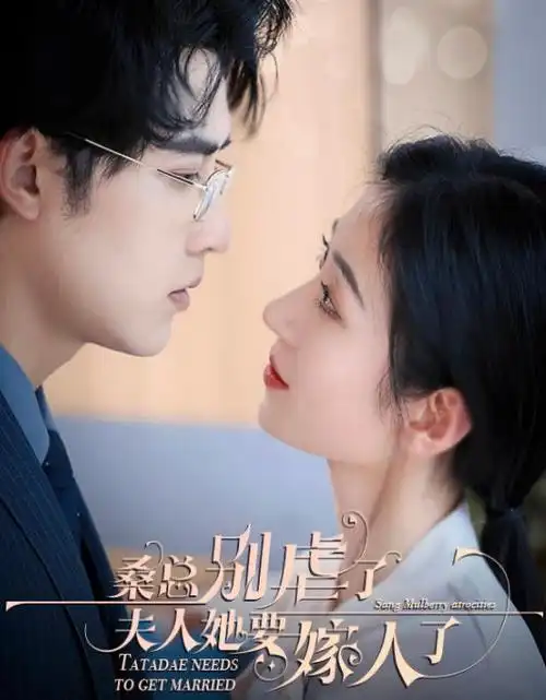 山海棋局剧集封面